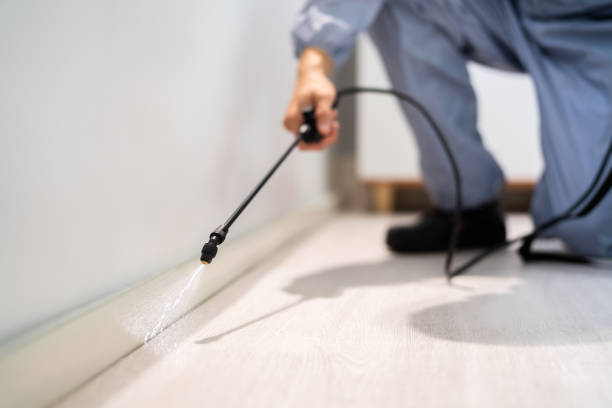 Professional exterminator conducting IPM assessment in Sully Square